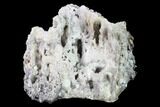 Calcite & Aragonite Stalactite Formation - Morocco #136283-3